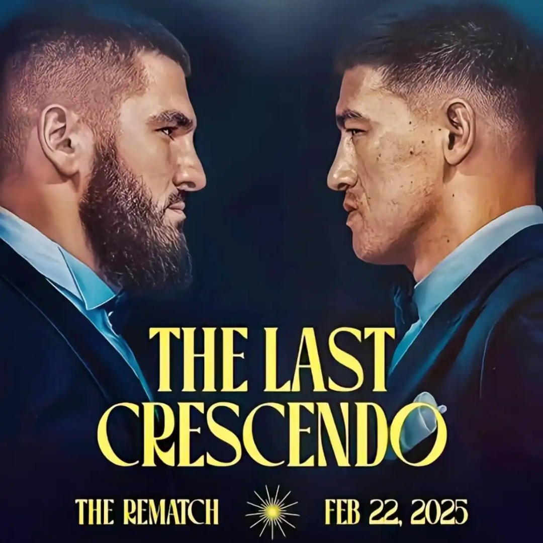 包含沃尔夫斯堡突破对手防线，锋线火力全开大胜对手的词条